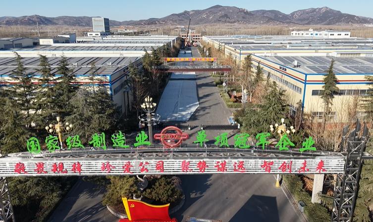 双向塑料土工格栅不同制造厂家的实际生产数据、市场应用效果差异是什么？ 
