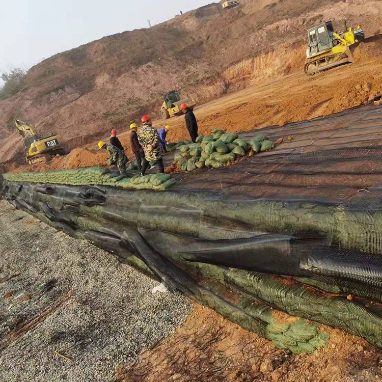 土工材料选型避坑：钢塑土工格栅如何选，满足道路、堤坝多场景需求的优质产品推荐