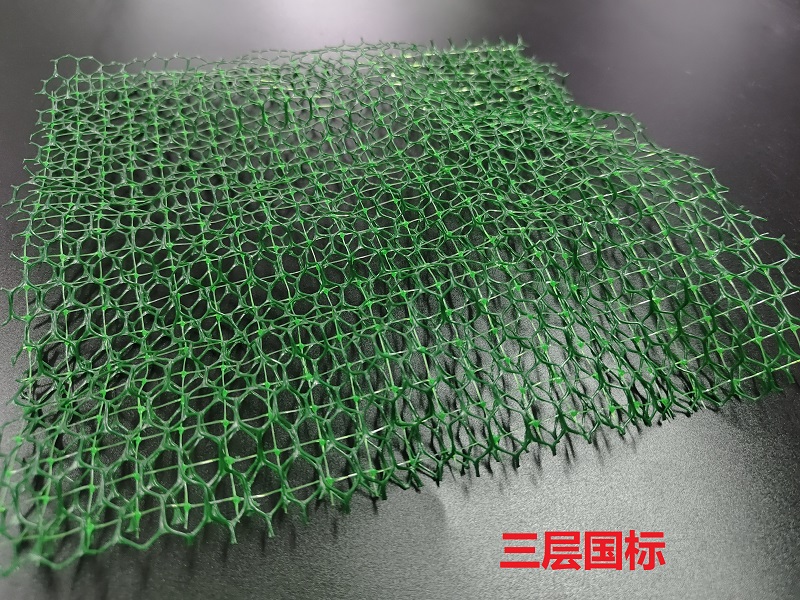 2026高性价比之选：可靠的公路/铁路边坡防护三维植被网源头生产厂家