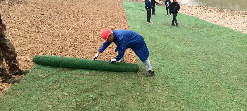 2026高性价比之选：可靠的土工格室/三维植被网生产厂家
