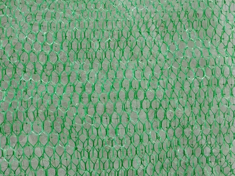 文章插图